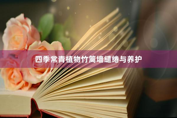 四季常青植物竹篱墙缱绻与养护