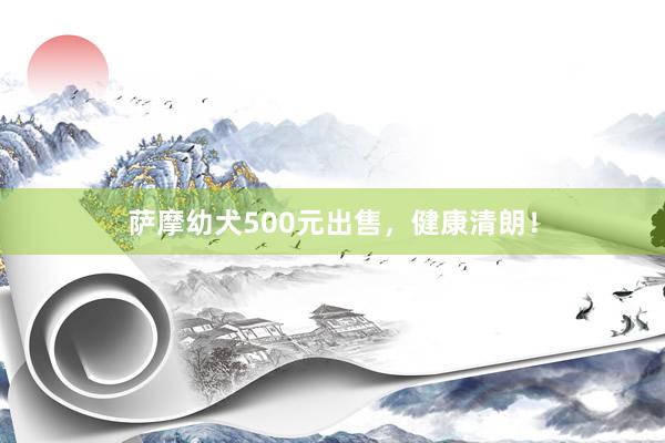 萨摩幼犬500元出售，健康清朗！